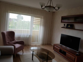 Отель Apartamentai Gertrūda  Друскининкай